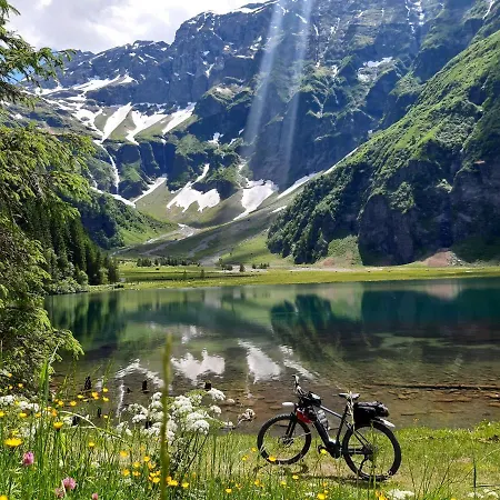 Alphotel Szálloda 3*