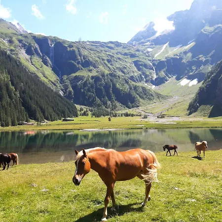 Alphotel Mittersill Incl National Park Sommercard