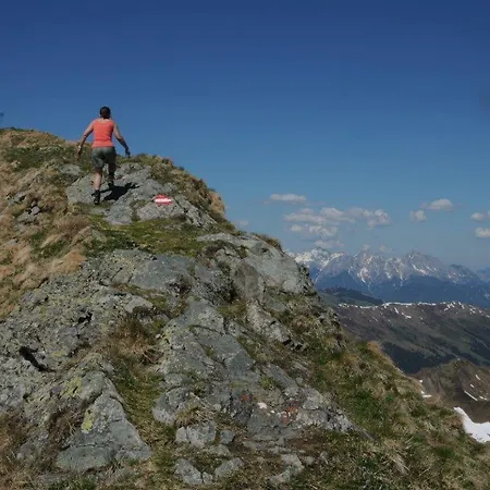 Alphotel 3* Mittersill