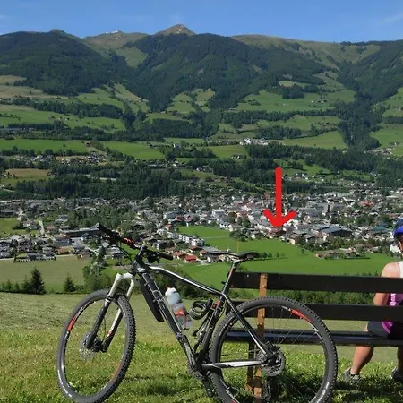 Alphotel 3* Mittersill