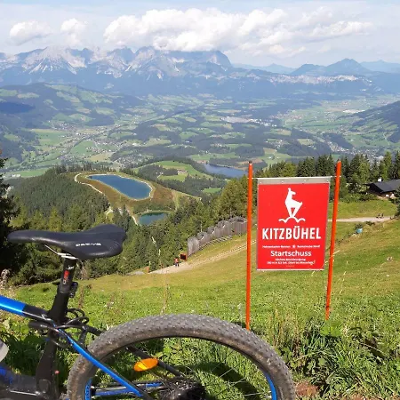 Hotel Alphotel Mittersill